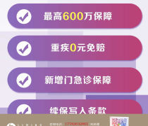 延安保險經(jīng)紀(jì)服務(wù) 黎明保險經(jīng)紀(jì)的價格、供應(yīng)商與項目解析