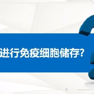 保險經紀新標桿 陳春雷如何以專業與信任贏得市場